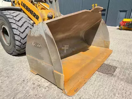 Hjullæsser 2020 Liebherr L 586 (12)