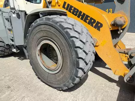 Hjullæsser 2020 Liebherr L 586 (15)