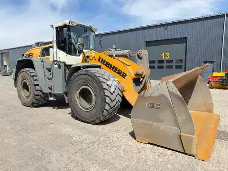 Hjullæsser 2020 Liebherr L 586 (3)