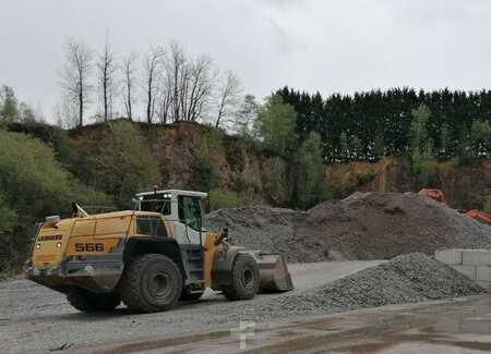 Chargeuse sur pneus 2015 Liebherr L566 (5)
