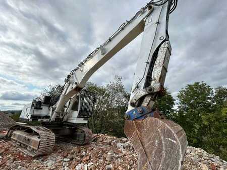 Nedrivningsgravemaskine 2005 Liebherr R944B HDSL (19)