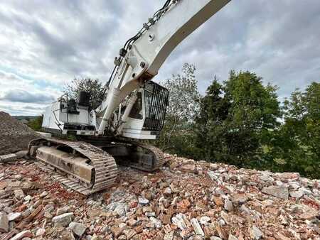 Nedrivningsgravemaskine 2005 Liebherr R944B HDSL (20)