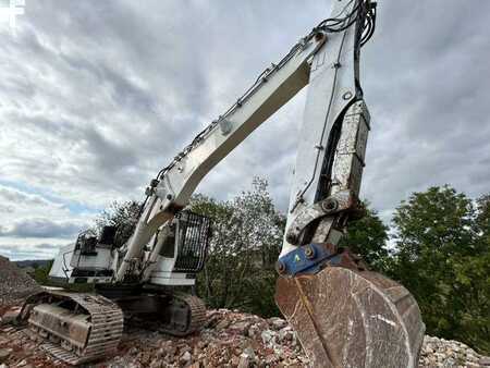 Nedrivningsgravemaskine 2005 Liebherr R944B HDSL (30)
