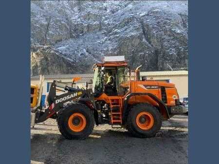 Pale Gommate 2020 Doosan DL300 (4)