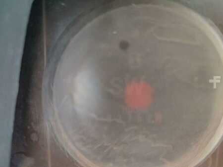 Other 2011 Atlas Copco XAS67 (18)