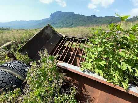 Sonstige 0 POWERSCREEN SAUTERELLE (14)