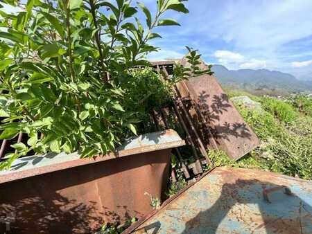 Sonstige 0 POWERSCREEN SAUTERELLE (15)