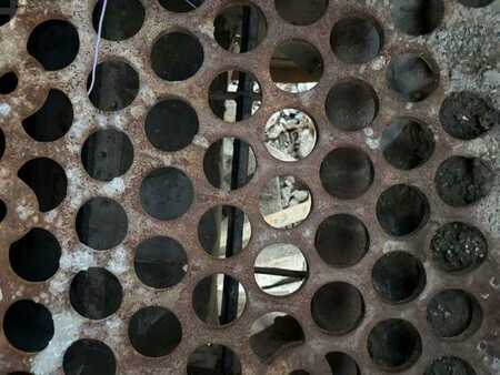 Miscelaneo 2014 Gipo RC130FDR A MACHOIRE (50)