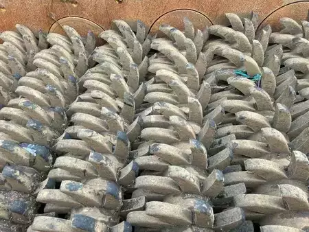 Annet 2023 Backers STERNSIEB 2-MA (25)