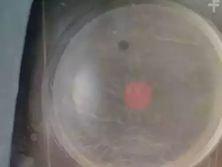 Miscelaneo 2011 Atlas Copco XAS67 (18)