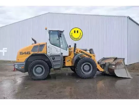 Hjullæsser 2020 Liebherr 546 (2)