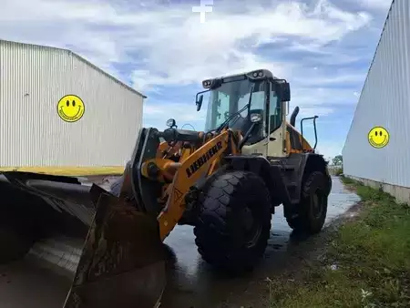 Hjullæsser 2020 Liebherr 546 (4)