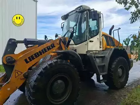 Hjullæsser 2020 Liebherr 546 (5)