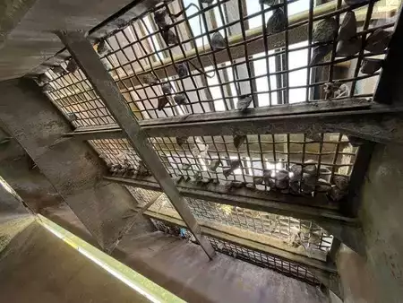 Altri 2009 POWERSCREEN POWERTRACK 800 (50)