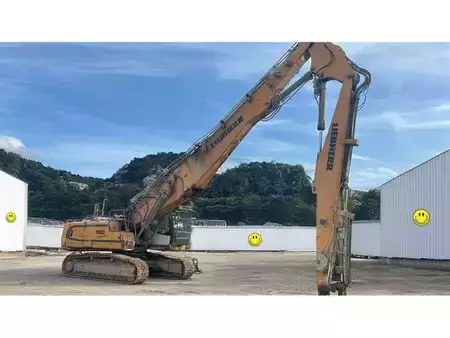 Escavadora de demolição 2020 Liebherr R950 HD (2)