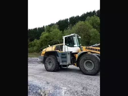 Колісні навантажувачі 2015 Liebherr L566 (4)