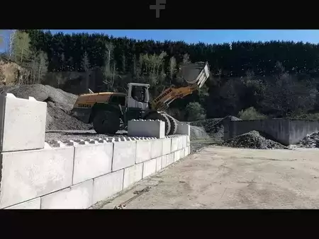 Колісні навантажувачі 2015 Liebherr L566 (6)