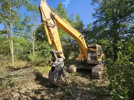 Koparki gąsienicowe 2010 Hyundai robex 210 (1)