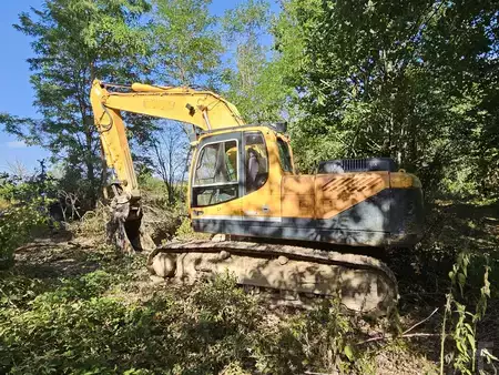 Koparki gąsienicowe 2010 Hyundai robex 210 (11)