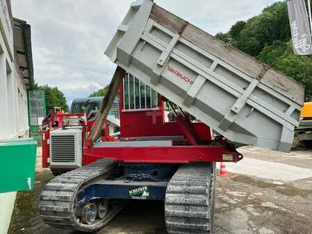 Pásové dampry 2012 Takeuchi TCR 50 (2)