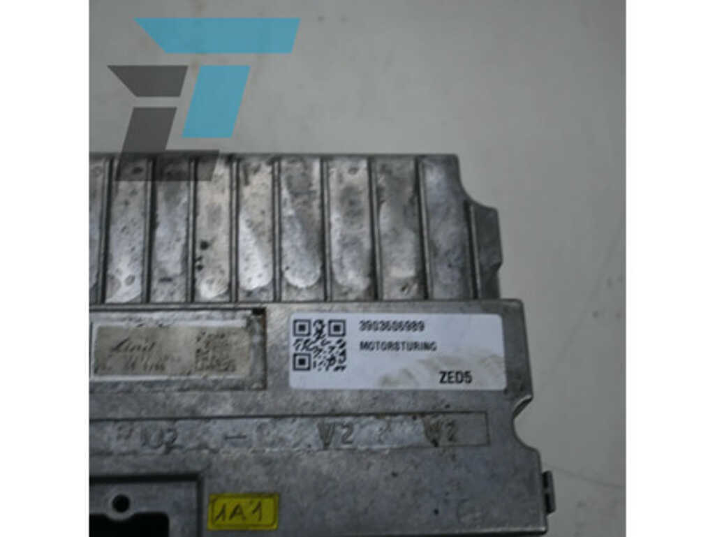 66709_389469525-1.jpg?v=1764250870