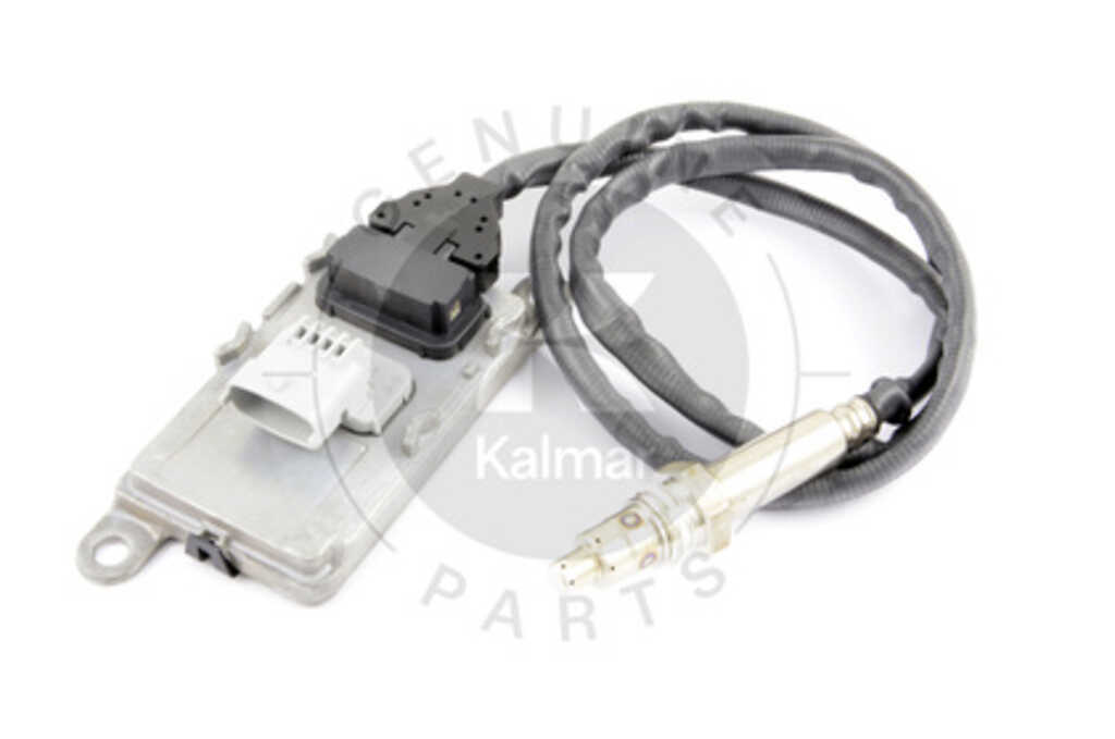 71691_483808-1.jpg?v=1761538959