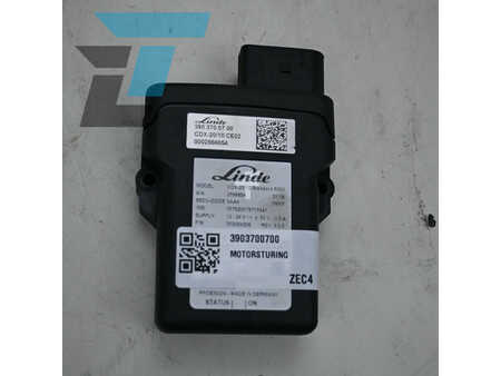 Sonstige  Linde 3 (1)