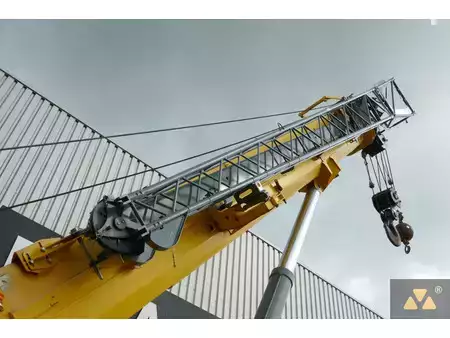 nessuno  Grove RT890E (16)
