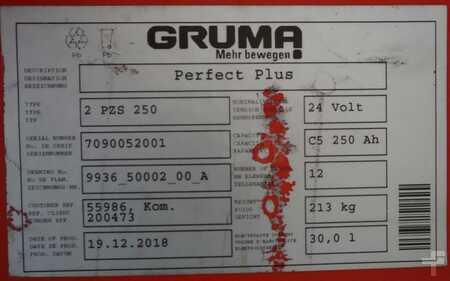 PzS 2018 GRUMA 24 Volt 2 PzS 250 Ah (5)