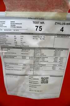 PzS 2019  GRUMA 24 Volt 2 PzS 230 Ah (6)