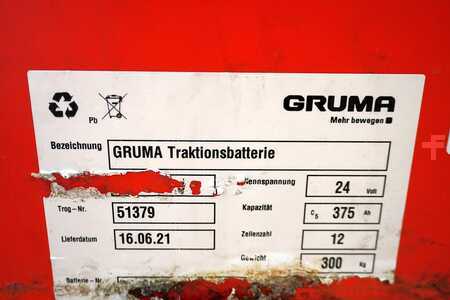 PzS 2021  GRUMA 24 Volt 3 PzS 375 Ah (5)