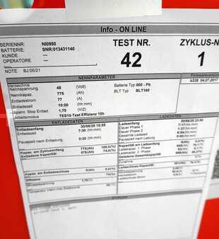 PzS 2021  AIM 48 Volt 5 PzS 775 Ah (6)