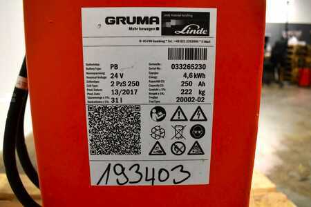 Lead Acid 2017  GRUMA 24 Volt 2 PzS 250 Ah (5)