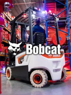 Bobcat